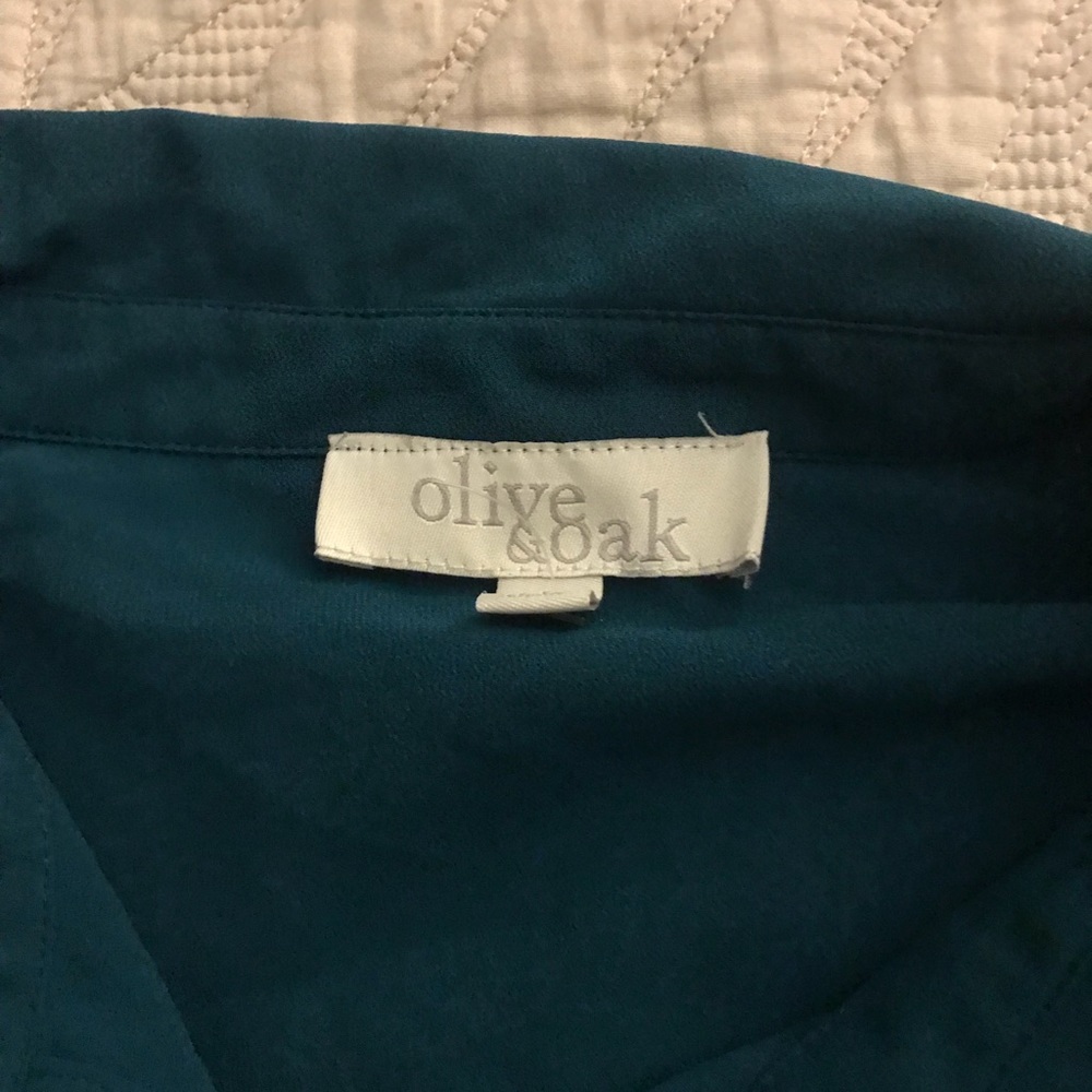 Olive and Oak transparent teal button down
